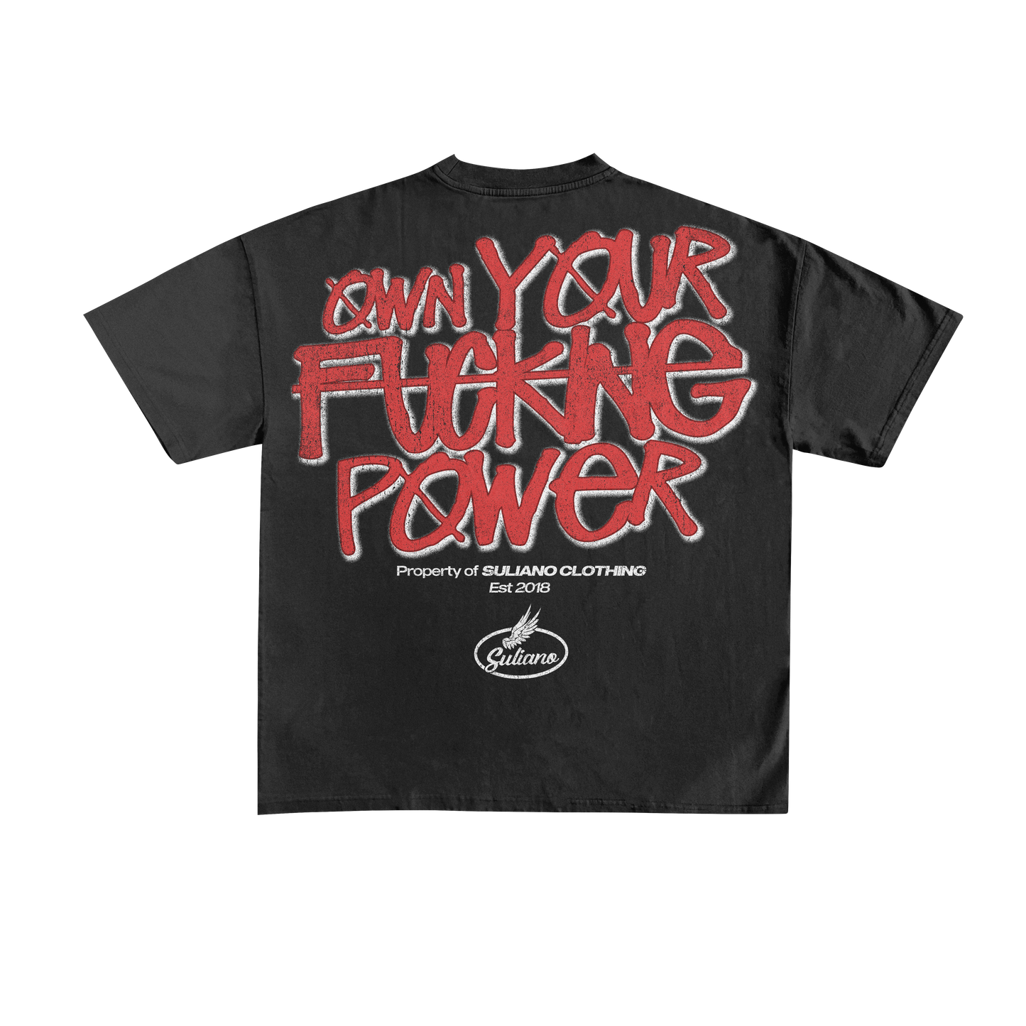 Own your Fucking Power T-Shirt